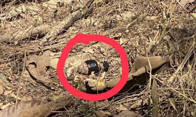 ชาวบ้านไปสวนผงะ! พบวัตถุระเบิดแบบขว้าง ริมทางสวน พื้นที่ สภ.ภูเพียง จ.น่าน