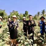 ประจวบฯ รวมใจเดินหน้า! ปั้น “กุยบุรีโมเดล” ยกระดับห่วงโซ่เกษตรอินทรีย์เชิงพื้นที่ให้ยั่งยืน