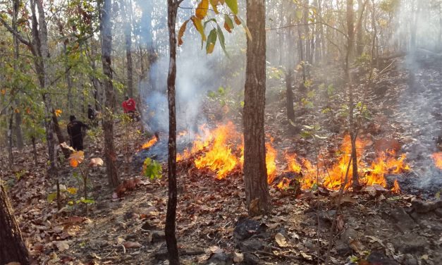 เชียงใหม่ หน่วยป้องกันรักษาป่าที่ ชม.15  เดินเท้าเร่งเข้าดับไฟไหม้ป่า อ.ฮอด ล่าสุดภารกิจสำเร็จแล้ว