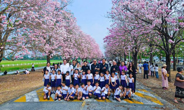 ผู้ว่าฯ นครปฐม เยี่ยมชม “ชมพูพันธุ์ทิพย์” บานสะพรั่ง ม.เกษตรฯ กำแพงแสน