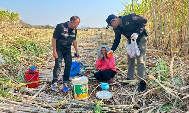 กาญจนบุรี – นายอำเภอบ่อพลอย ลงพื้นที่เยี่ยมเกษตรกรชาวไร่อ้อย ตามนโยบาย “คนบ่อพลอยไม่เผา เพื่อเรา เพื่อลูก เพื่อหลาน เพื่อโลก”พบอุปสรรค คือ ต่อ แตน ผึ้ง