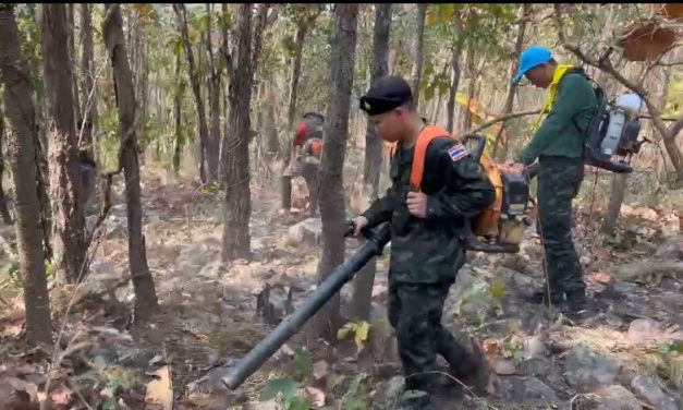 พะเยา  ศูนย์อำนวยการจิตอาสาพระราชทานมณฑลทหารบกที่ 34  จัดกำลังพล ร่วมทำแนวกันไฟ เพื่อป้องกันไฟป่า ในพื้นที่อำเภอเมือง