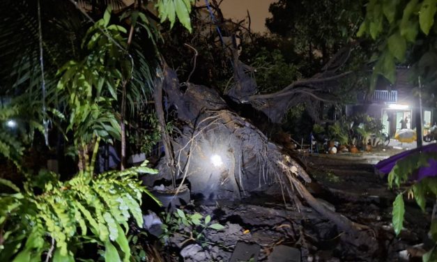 นนทบุรี พายุฝนถล่มนนทบุรี ลมหมุนซัดต้นก้ามปูอายุกว่า 100 ปี โค่นทับบ้านพังยับ เฉียดหลังเจ้าของบ้านขณะนั่งดูทีวี โชคดีไร้เจ็บ