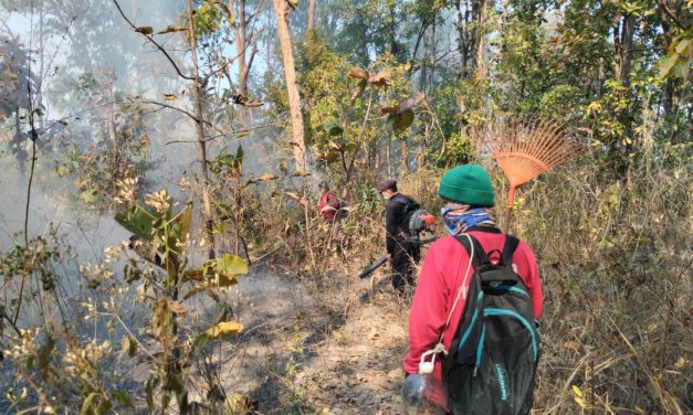 เชียงใหม่ เจ้าหน้าที่ป้องกันไฟป่า ระดมกำลังดับไฟป่าพื้นที่ป่าสงวนแห่งชาติแม่ออน ล่าสุด ควบคุมไฟได้แล้วในวันเดียว