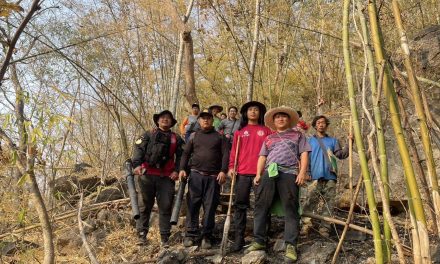 เชียงใหม่ อ.แม่แจ่ม ควบคุมไฟป่า 1 จุด ในเขตป่าสงวนฯ ที่ตรวจพบในช่วงบ่ายวันนี้ได้แล้ว