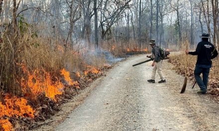 เชียงใหม่ อำเภอดอยเต่า เดินหน้าบริหารจัดการเชื้อเพลิงในพื้นที่ป่าสงวนแห่งชาติแม่หาด ตามแผนในระบบ FireD ลดความเสี่ยงไฟป่า