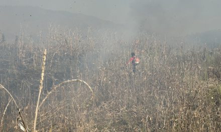 แม่ฮ่องสอน เจ้าหน้าที่เขตรักษาพันธุ์สัตว์ป่าสาละวิน กลุ่มป่าที่ 4 กลุ่มป่าสาละวิน เร่งจัดกำลังออกไปดับไฟป่าในพื้นที่บ้านจอท่า ต.แม่คง อ.แม่สะเรียง