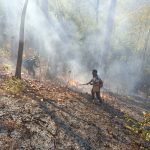 แม่ฮ่องสอน เขตรักษาพันธุ์สัตว์ป่าสาละวิน กลุ่มป่าที่ 4 กลุ่มป่าสาละวิน สามารถเข้าเคลียร์จุดไฟป่าติดชายแดนได้แล้ว หลังใช้เวลาถึง 3 วัน