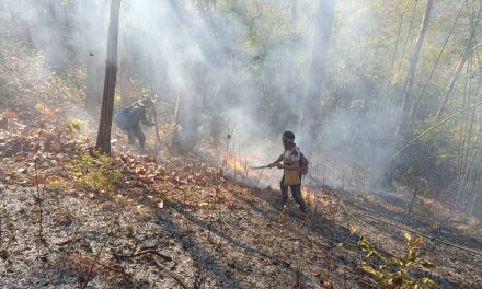 แม่ฮ่องสอน เขตรักษาพันธุ์สัตว์ป่าสาละวิน กลุ่มป่าที่ 4 กลุ่มป่าสาละวิน สามารถเข้าเคลียร์จุดไฟป่าติดชายแดนได้แล้ว หลังใช้เวลาถึง 3 วัน