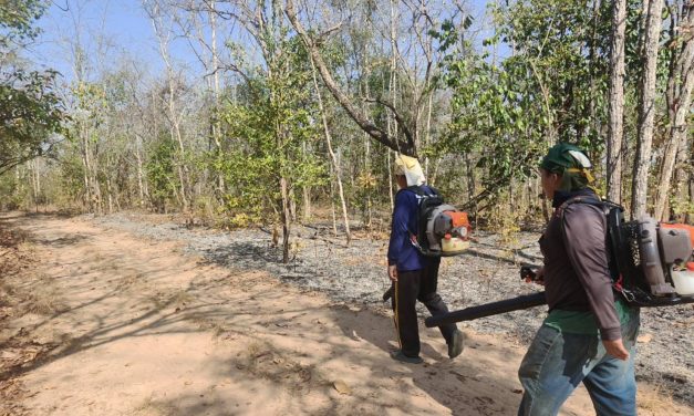 เชียงใหม่ อ.จอมทอง ลงพื้นที่ตรวจสอบจุดความร้อนทันทีหลังได้รับแจ้งเช้าวันนี้ ล่าสุดไฟดับลงแล้ว เจ้าหน้าที่ได้ทำแนวกันไฟเพิ่มเติม