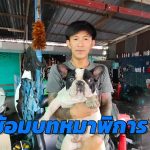 นครนายก หมาขี้เล่น ซ้อมบทหมาพิการถูกรถทับใครเห็นก็สงสาร