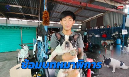 นครนายก หมาขี้เล่น ซ้อมบทหมาพิการถูกรถทับใครเห็นก็สงสาร