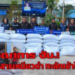 มุกดาหาร ข้าวสารเหนียวดำยัง ทะลักข้ามโขงเข้าชายแดนอย่างต่อเนื่อง