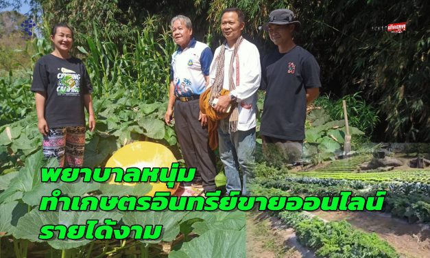 สกลนคร พยาบาลหนุ่มผันตัวเองทำการเกษตรอินทรีย์ขายออนไลน์รายได้งาม