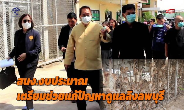 ลพบุรี สำนักงานงบประมาณเตรียมช่วยแก้ปัญหาดูแลลิง