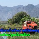 สจ.อุทัยธานี สร้างรายได้ช่วงฤดูแล้งให้ชาวบ้านปลูกถั่วเหลือง เก็บถั่วเหลืองเป็นกรอบเป็นกำ พลิกโฉมเกษตรอุทัยธานีใช้ AI คัดถั่วเหลืองฝักสด