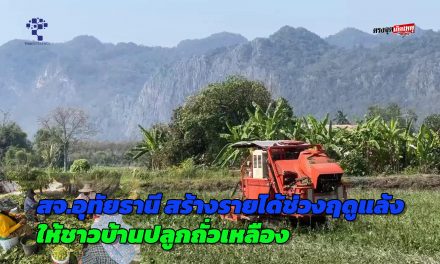 สจ.อุทัยธานี สร้างรายได้ช่วงฤดูแล้งให้ชาวบ้านปลูกถั่วเหลือง เก็บถั่วเหลืองเป็นกรอบเป็นกำ พลิกโฉมเกษตรอุทัยธานีใช้ AI คัดถั่วเหลืองฝักสด