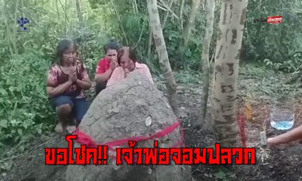 อุทัยธานี ชาวบ้านขอโชค!!เจ้าพ่อจอมปลวกติดป่า ได้เลขเด็ดเสี่ยงดวง หลังเจ้าของบ้านพึ่งย้ายมาอยู่ใหม่ ได้โชคงวดก่อน 