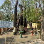 อ่างทอง ส่องตัวเลขตะเคียน9ต้นตั้งตระหง่านหน้าวัดทองเลื่อนตั้งขึ้นในลักษณะปลายชี้ฟ้าสร้างความสนใจให้แก่ผู้ที่พบเห็น 