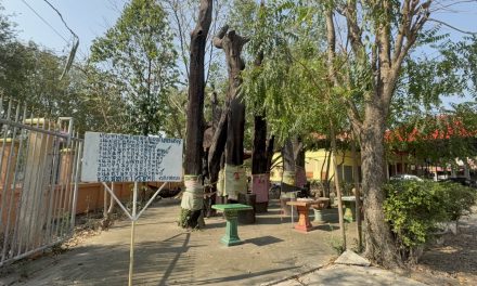 อ่างทอง ส่องตัวเลขตะเคียน9ต้นตั้งตระหง่านหน้าวัดทองเลื่อนตั้งขึ้นในลักษณะปลายชี้ฟ้าสร้างความสนใจให้แก่ผู้ที่พบเห็น 