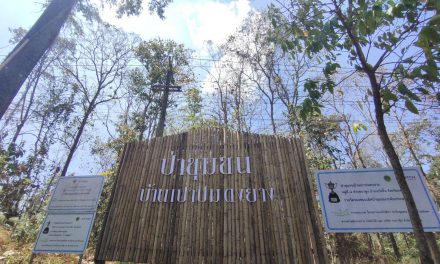 แพร่ นศ.แม่โจ้-แพร่ สะท้อนภาพมุมกลับ แก้ปัญหาไฟป่าหมอกควันในภาคเหนือ สถานการณ์ไฟป่า-หมอกควัน