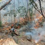 แพร่ อช.เวียงโกศัย ระดมกำลังจนท.เข้าสกัดกั้นไฟป่า ที่ลุกลามเข้าสู่เขตอุทยานฯ