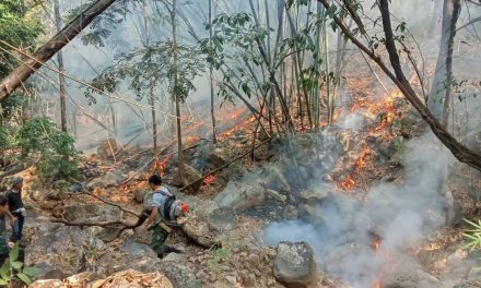 แพร่ อช.เวียงโกศัย ระดมกำลังจนท.เข้าสกัดกั้นไฟป่า ที่ลุกลามเข้าสู่เขตอุทยานฯ