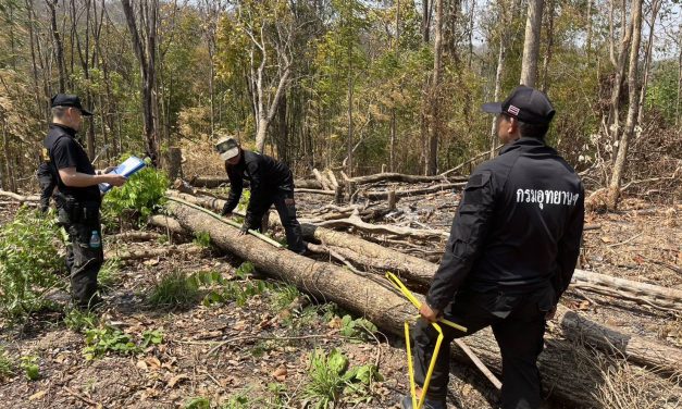 ผอ.สจป.3 แพร่ สั่งให้ชุดปฏิบัติการพิเศษป่าไม้ บูรณาการกำลัง ตรวจยึดพท.บุกรุก 2 แปลง ไม้ของกลาง ความเสียหายของรัฐ 4 แสนกว่าบาท
