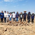 กาญจนบุรี – เกษตรกาญจน์ หนุนใช้เครื่องจักรกลทันสมัย ลดต้นทุนปลูกมันสำปะหลัง