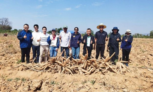 กาญจนบุรี – เกษตรกาญจน์ หนุนใช้เครื่องจักรกลทันสมัย ลดต้นทุนปลูกมันสำปะหลัง