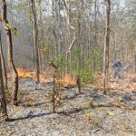 เชียงใหม่ อำเภอสันทรายสนธิกำลังเจ้าหน้าที่เร่งเข้าควบคุมสถานการณ์ไฟป่าที่อำเภอสันทราย หลังออก