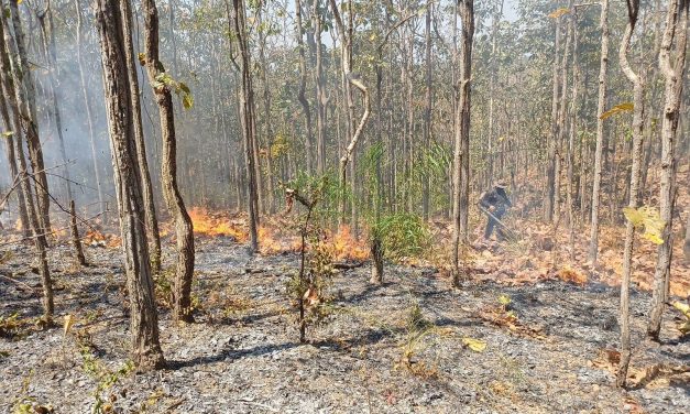 เชียงใหม่ อำเภอสันทรายสนธิกำลังเจ้าหน้าที่เร่งเข้าควบคุมสถานการณ์ไฟป่าที่อำเภอสันทราย หลังออก