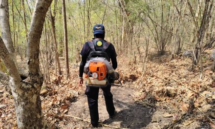 เชียงใหม่ เจ้าหน้าที่เร่งควบคุมไฟ ในพื้นที่ป่าแม่หาด อำเภอดอยเต่า