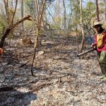 เชียงใหม่ อำเภอสันทราย สนธิกำลังเจ้าหน้าที่เข้าควบคุมสถานการณ์ไฟป่าได้สำเร็จแล้ว
