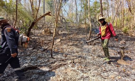 เชียงใหม่ อำเภอสันทราย สนธิกำลังเจ้าหน้าที่เข้าควบคุมสถานการณ์ไฟป่าได้สำเร็จแล้ว