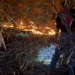 ชัยนาท ไฟไหม้ป่าเขากระดี่กว่า20ไร่ เจ้าหน้าที่เร่งสกัดเพลิงจัดชุดเฝ้าระวัง24ชม