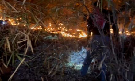 ชัยนาท ไฟไหม้ป่าเขากระดี่กว่า20ไร่ เจ้าหน้าที่เร่งสกัดเพลิงจัดชุดเฝ้าระวัง24ชม