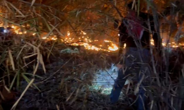 ชัยนาท ไฟไหม้ป่าเขากระดี่กว่า20ไร่ เจ้าหน้าที่เร่งสกัดเพลิงจัดชุดเฝ้าระวัง24ชม