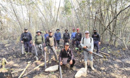 เชียงใหม่ ระดมทีมดับไฟพื้นที่ป่าสงวนฯ เชียงดาว ดอยเต่า หลังพบรายงานจุดความร้อน