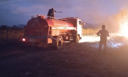 กาญจนบุรี – ไหม้ข้ามคืน ดงมะพร้าว-มันสำปะหลัง-อ้อย!!  จนท.ชาวบ้าน ช่วยกันสกัดนานกว่า 4 ชม.จึงสงบ พร้อมจัดเวรยามเฝ้าระวังหวั่นปะทุ ยันเช้า เชื่อฝีมือมนุษย์