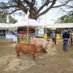 อุดรธานี – ประธาน หอการค้าจังหวัดอุดรธานี สะท้อนความคาดหวังรัฐบาลใหม่ เร่งแก้ปัญหาปากท้อง–ค่าครองชีพ ควบคู่ยกระดับเศรษฐกิจระยะยาว
