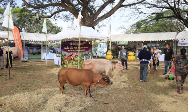 อุดรธานี – ประธาน หอการค้าจังหวัดอุดรธานี สะท้อนความคาดหวังรัฐบาลใหม่ เร่งแก้ปัญหาปากท้อง–ค่าครองชีพ ควบคู่ยกระดับเศรษฐกิจระยะยาว