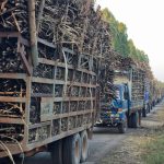 อุดรธานี “ธีระชัย” นำทัพชาวไร่อ้อยอีสานระงม! วิกฤตน้ำมันแพงทำพิษ – อ้อยค้างทุ่งนับแสนตัน จี้รัฐ “ปล่อยผี” เผาลวกด่วนก่อนโรงงานปิดหีบ