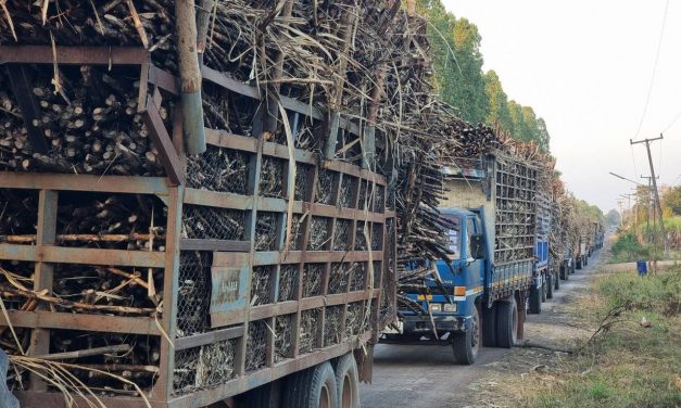 อุดรธานี “ธีระชัย” นำทัพชาวไร่อ้อยอีสานระงม! วิกฤตน้ำมันแพงทำพิษ – อ้อยค้างทุ่งนับแสนตัน จี้รัฐ “ปล่อยผี” เผาลวกด่วนก่อนโรงงานปิดหีบ