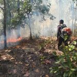 เชียงใหม่ ศอ.ปกป.ภาค 3 สน.รายงานจุดความร้อนเช้านี้พุ่งกว่า 1,092 จุด สูงสุดที่ จังหวัดลำปาง จำนวน 307เตรียมจัดอากาศยาน ka-32 สนับสนุน อ.ป่าซาง ดับไฟ 2 จุด