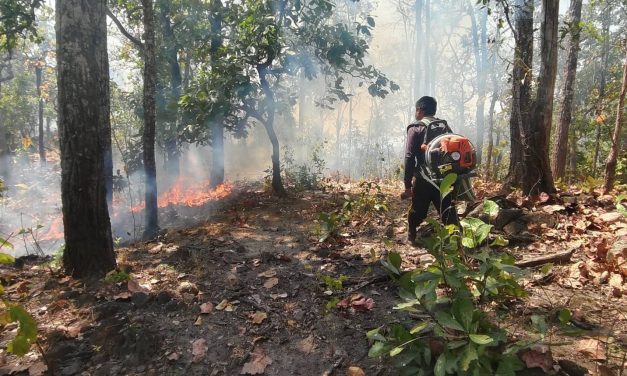 เชียงใหม่ ศอ.ปกป.ภาค 3 สน.รายงานจุดความร้อนเช้านี้พุ่งกว่า 1,092 จุด สูงสุดที่ จังหวัดลำปาง จำนวน 307เตรียมจัดอากาศยาน ka-32 สนับสนุน อ.ป่าซาง ดับไฟ 2 จุด