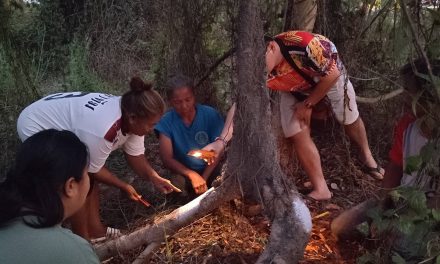 นครนายก – ชาวบ้านแห่ขอโชคจอมปลวก3 ขาหน้าตาคล้ายจรวด