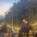 พังงา-หนึ่งในไทยแลนด์ขบวนช้าง 19เชือกแห่ผ้าขึ้นห่มพระมหาธาตุเจดีย์พุทธธรรม