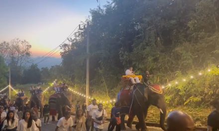 พังงา-หนึ่งในไทยแลนด์ขบวนช้าง 19เชือกแห่ผ้าขึ้นห่มพระมหาธาตุเจดีย์พุทธธรรม