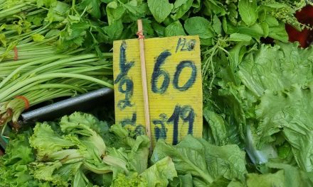 ตลาดท่าน้ำนนท์ ผักสดราคาพุ่ง! มะนาวแตะลูกละ7- 8 บาท ‘ผักชี-ขึ้นฉ่าย’ ขยับเพิ่มเท่าตัวแม่ค้าส้มตำเดือดร้อนหนักต้นทุนสูงร้องรัฐบาลเร่งแก้ไขปัญหา